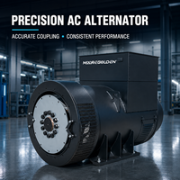 Alternateur AC sans balais industriel 320 kW 400 kVA avec AVR type Stamford pour groupe électrogène diesel