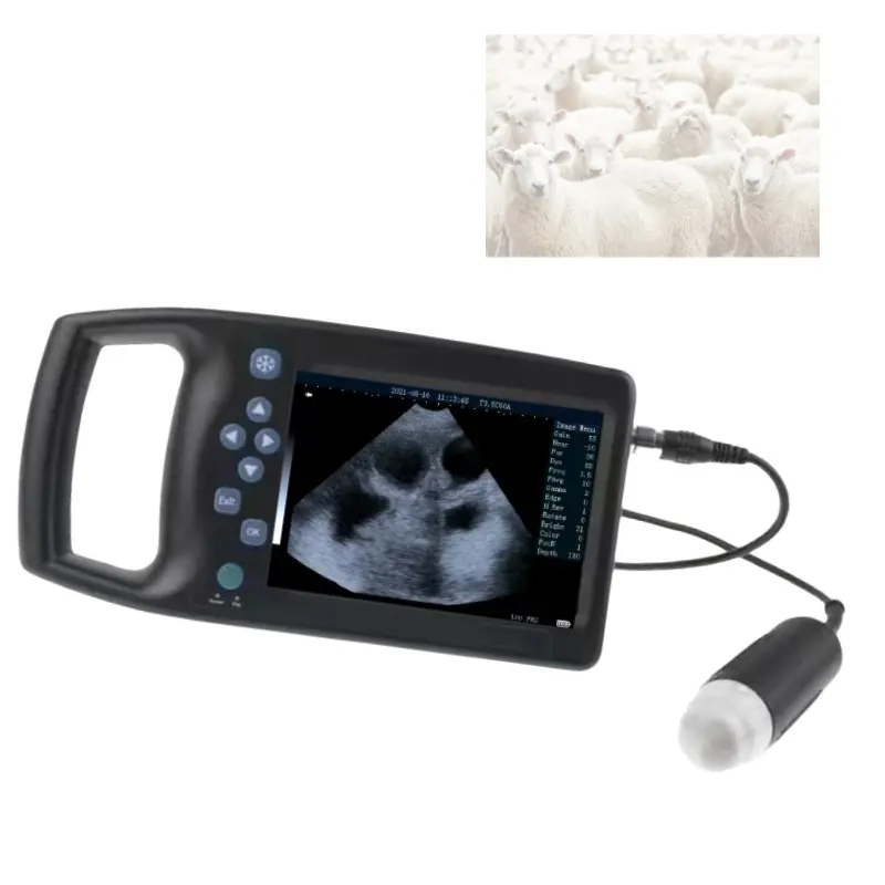 Mejor Precio Escáner de ultrasonido de mano Máquina de ultrasonido veterinario portátil