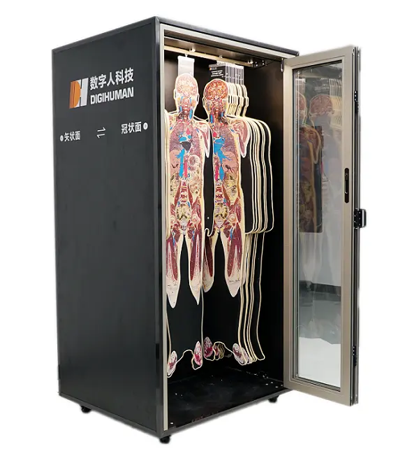 Imágenes tomográficas reconstruidas del cuerpo humano basadas en datos humanos reales