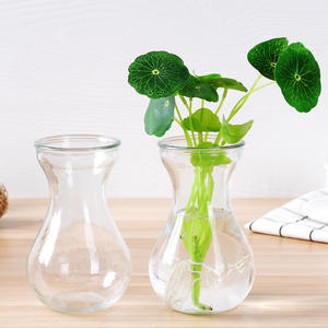 <span class=keywords><strong>Vase</strong></span> de Propagation d'<span class=keywords><strong>Avocat</strong></span> en Verre Clair Avocats Jacinthes Châtaignes Noix <span class=keywords><strong>Vase</strong></span> Bulbe <span class=keywords><strong>Vase</strong></span> en Verre Soufflé - Product Image 2