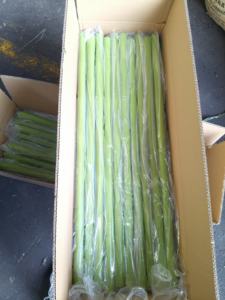 プラスチック製の杖プラスチック製のハンドスティックセキュリティ格闘技バトンプラスチックバトン販売 - Product Image 2