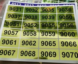 Etiquetas Adhesivas Personalizadas con Número de Rollo de 1 a 10000, Impermeables, con Diseño de Dragón Plateado - Product Image 5
