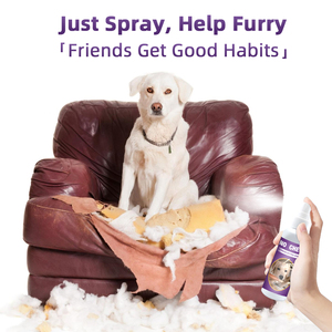 <span class=keywords><strong>Spray</strong></span> <span class=keywords><strong>anti</strong></span>-mastication extrêmement amer personnalisé avec logo pour arrêter que les chiens mordent, grattent et déchiquètent les meubles – Brume d'entraînement pour chiens - Product Image 2