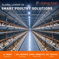 Système automatique de cages pour poulets de chair avec système d'évacuation du fumier et d'alimentation, équipement d'élevage avicole multi-niveaux 3-6 étages
