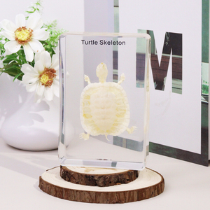 Động vật thực tế pha lê paperweight Acrylic rùa Bộ Xương nhựa mẫu công cụ giáo dục cho giảng dạy - Product Image 2