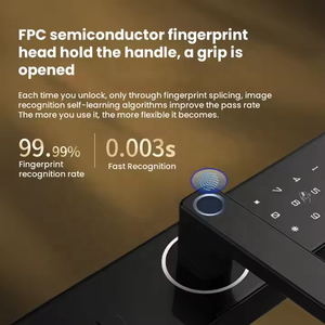 Locstar an ninh điện tử cerradura inteligente fechadura mật khẩu kỹ thuật số sinh trắc học vân tay ttlock tuay khóa cửa thông minh - Product Image 2