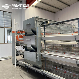 Jaula Automática Tipo H para Pollos <span class=keywords><strong>de</strong></span> Engorde YIZE, Jaula para Cría <span class=keywords><strong>de</strong></span> Aves <span class=keywords><strong>de</strong></span> Corral, Jaula para 5000 Pollos <span class=keywords><strong>de</strong></span> Engorde - Product Image 1