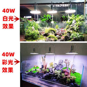 XM TS-20W TS-20R TS-40R TS-40ホット販売水槽サンゴ礁海洋植物水族館Led照明ランプ水族館 - Product Image 5