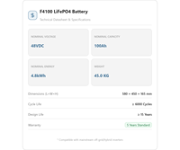 Batterie de stockage d'énergie LiFePO4 48V 100Ah 4,8 kWh, durée de vie 6000 cycles, RS485 CAN Bluetooth WiFi, pour système solaire hybride domestique hors réseau