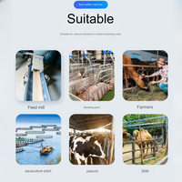 Approvisionnement d'usine en Chine machine à granulés d'aliments pour bétail d'occasion machine à granulés d'aliments pour animaux du Myanmar pour le Kenya