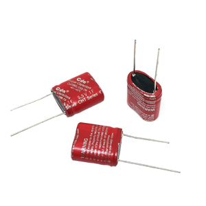 CHEWYZ Super Condensatori Serie FCS 5.5V 0.1F FCS0H104ZFTBR24 Condensatore SuperCapacitor Condensatore