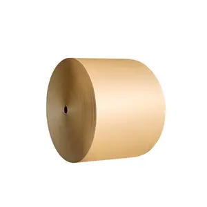 Hot Sale High Quality PE Coated White and Brown Kraft Paper Roll for Paper Cup Bowl