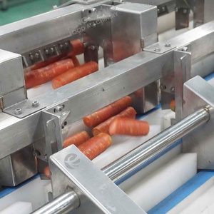 Máquina Cortadora de Zanahorias Pequeñas, Máquina para Cortar Zanahorias en Segmentos Pequeños - Product Image 4