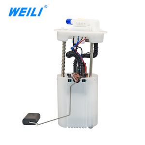 Pièces de moteur automobile WEILI, pompe à carburant pour Chery Tiggo T11-1106610DA, ensemble de pompe à carburant - Product Image 6