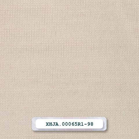 XHJA.00065R1-98