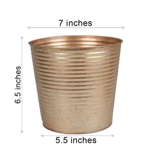 Bán Buôn Bán Hàng Trực Tiếp 0.8 Gallon Cổ Điển Kim Loại Trồng Chậu Hoa Mạ Kẽm Xô Nhà Máy Nồi Cho Trong Nhà Và Ngoài Trời - Product Image 2