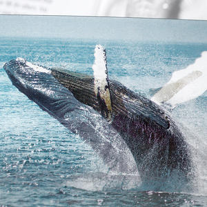 Tarjetas transparentes personalizadas CCH con animaciones 3D temáticas de estrellas como artículos conmemorativos creativos - Product Image 5