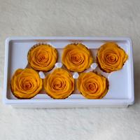 Lovebay vente en gros tête de fleurs stabilisées tête de roses préservée naturelle de longue durée 5-6cm infini réel tête de rose éternelle pour toujours