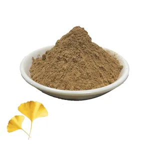 Ekstrak Ginkgo Biloba Daun Kualitas Tinggi Herbal Murni Harga Murah Grosir