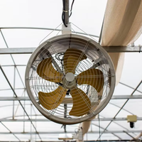 Ventilador de circulación de invernadero para casa avícola de granja Ventilador de acero inoxidable