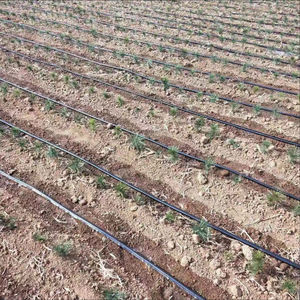 Système d'irrigation <span class=keywords><strong>goutte</strong></span> <span class=keywords><strong>à</strong></span> <span class=keywords><strong>goutte</strong></span> 1 hectare Kits complets Bande <span class=keywords><strong>goutte</strong></span> <span class=keywords><strong>à</strong></span> <span class=keywords><strong>goutte</strong></span> anti-UV 16 mm pour l'irrigation agricole - Product Image 6