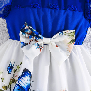 ชุดเดรสเด็กผู้หญิงขายส่งจากโรงงาน ลายดอกไม้ ลูกไม้ แขนกุด สำหรับงานทางการ งานเลี้ยง หรือใส่ลำลอง สำหรับเด็กทารกและเด็กอายุ 6 เดือน-3 ปี - Product Image 5