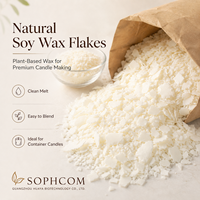 Flocons de cire de soja végétale pour le remplissage de contenants, approvisionnement en gros pour les studios de production de bougies parfumées artisanales