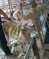 Nouveau 220V électrique moutons cisailles Machine Animal chèvre mouton cheval laine Cutter cisaille Machine