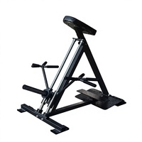Machine à Rangées Linéaires en Acier Haiboer, Fabriquée en Chine, Équipement de Fitness pour Salle de Sport, Charge par Plaques, Capacité 1.6T, Certifiée ISO9001/CE, pour Entraînement des Bras