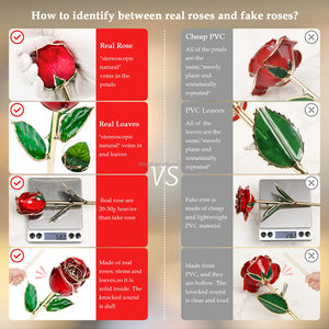 2025 galassia rosa <span class=keywords><strong>24k</strong></span> oro immerso rosa regali di <span class=keywords><strong>Rose</strong></span> per sempre boccioli placcato vera rosa regali di san valentino - Product Image 6