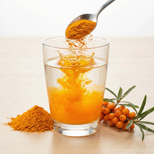 สารสกัดจากผลซีบัคธอร์นธรรมชาติ ปริมาณสูง ฟลาโวนอยด์จากซีบัคธอร์น วิตามินซี อาหารเสริมเพื่อสุขภาพ ชนิดผง วัตถุดิบเกรดอาหาร - Product Image 2