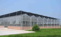 FUMA FM-MFMS Commerciële Multi-span Venlo-type kas met polycarbonaat platen voor hydroponie