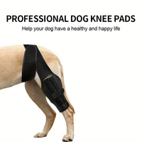 Attelle de soutien pour le genou de chien personnalisable, protège-jambes pour animaux de compagnie, manchon de récupération pour douleurs articulaires