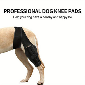 Attelle de soutien pour le genou de chien personnalisable, protège-jambes pour animaux de compagnie, manchon de récupération pour douleurs articulaires - Product Image 3
