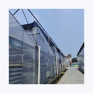 Estufas agrícolas de dente de serra, viveiro comercial de plantas com excelente sistema de ventilação, estufa multi-span