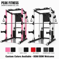 Rack de Squat Pliant Mural Multifonctionnel Commercial Moderne 2026 avec Acier Inoxydable Personnalisable pour Usage Domestique et en Salle de Sport