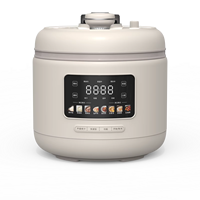 Cuisinière à pression électrique multifonction avec commande numérique, capacité de 5 L, pour usage domestique et hôtelier