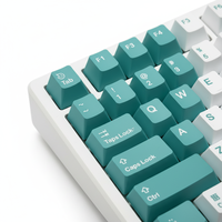 Clavier mécanique de jeu programmable OEM sans fil 2,4 GHz USB-C, 100 touches, RVB intégral, avec touches interchangeables à chaud et profil Tri-Mode