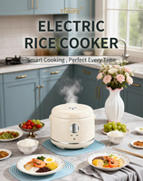 Nouvelle Conception 2026 : Cuiseur à Riz Intelligent Professionnel pour Cuisine, Appareils Électroménagers 110V 220V