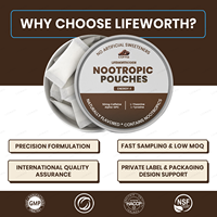 Pour Adultes en Déplacement : Sachets Nootropiques Énergie et Concentration Sans Nicotine, Caféine Naturelle + B12, 15 Sachets/Boîte, Action Rapide
