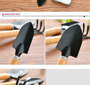 Classico Mini Kit <span class=keywords><strong>di</strong></span> attrezzi <span class=keywords><strong>da</strong></span> <span class=keywords><strong>giardino</strong></span> in legno per uso domestico coltivazione ortaggi frutta <span class=keywords><strong>fiori</strong></span> in vaso <span class=keywords><strong>semi</strong></span> con elegante scatola <span class=keywords><strong>di</strong></span> legno - Product Image 4