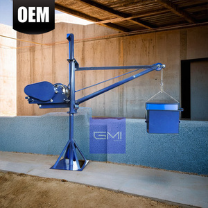 Mini grue compacte de levage léger de 300kg d'approvisionnement direct d'usine pour des applications polyvalentes - Product Image 1