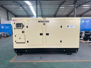 Generator With Alternator 40kw Free Electricity With Wheels WP 55 Generator With WP 55 - Product Image 3