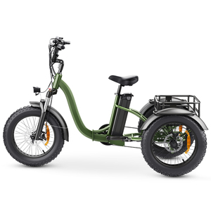 Tricycle électrique E-trike E-Bike avec batterie 20Ah, transmission par moyeu, autonomie 30-50km, capacité de charge 150kg, moteur 200-250W 48V, certifié CE - Product Image 3