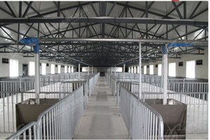 Jaula y Corral para Engorde de Cerdos, Nuevo, Duradero, Personalizado de Fábrica, Acero Galvanizado por Inmersión en Caliente, 1 Año de Garantía, Juego Completo, Soporte 24/7 - Product Image 5