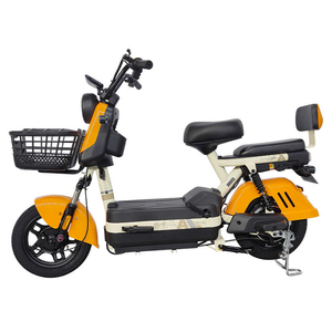 Vélo Électrique 20 Pouces Moteur 48V Batterie Chargeur 26 Pouces Kit Double Moteur pour Enfants Rapide Paraguay Prix Inde 1000W 20Ah Vélo Électrique - Product Image 2
