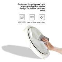 Lámpara Solar de Techo de Alta Potencia Más Vendida en Comercio Electrónico Transfronterizo, con Clasificación IP65, Control Inductivo, LED, para Pasillos y Corredores Interiores