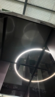 Ascenseur de passagers moderne sans machine, sans engrenages, AC, 250kg-630kg, 4 arrêts, en acier inoxydable noir titane avec gravure miroir, pour extérieur