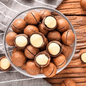 Vente en gros professionnelle 500g noix de <span class=keywords><strong>macadamia</strong></span> sèches crues <span class=keywords><strong>macadamia</strong></span> <span class=keywords><strong>macadamia</strong></span> grillées <span class=keywords><strong>macadamia</strong></span> salée - Product Image 3