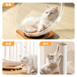 Space Capsule <b>Cat</b> Bed High Transparency Acrylic Round Pet Bed With <b>Scratch</b> <b>Post</b> <b>For</b> <b>Cats</b> Four Seasons Use - Product Image 4